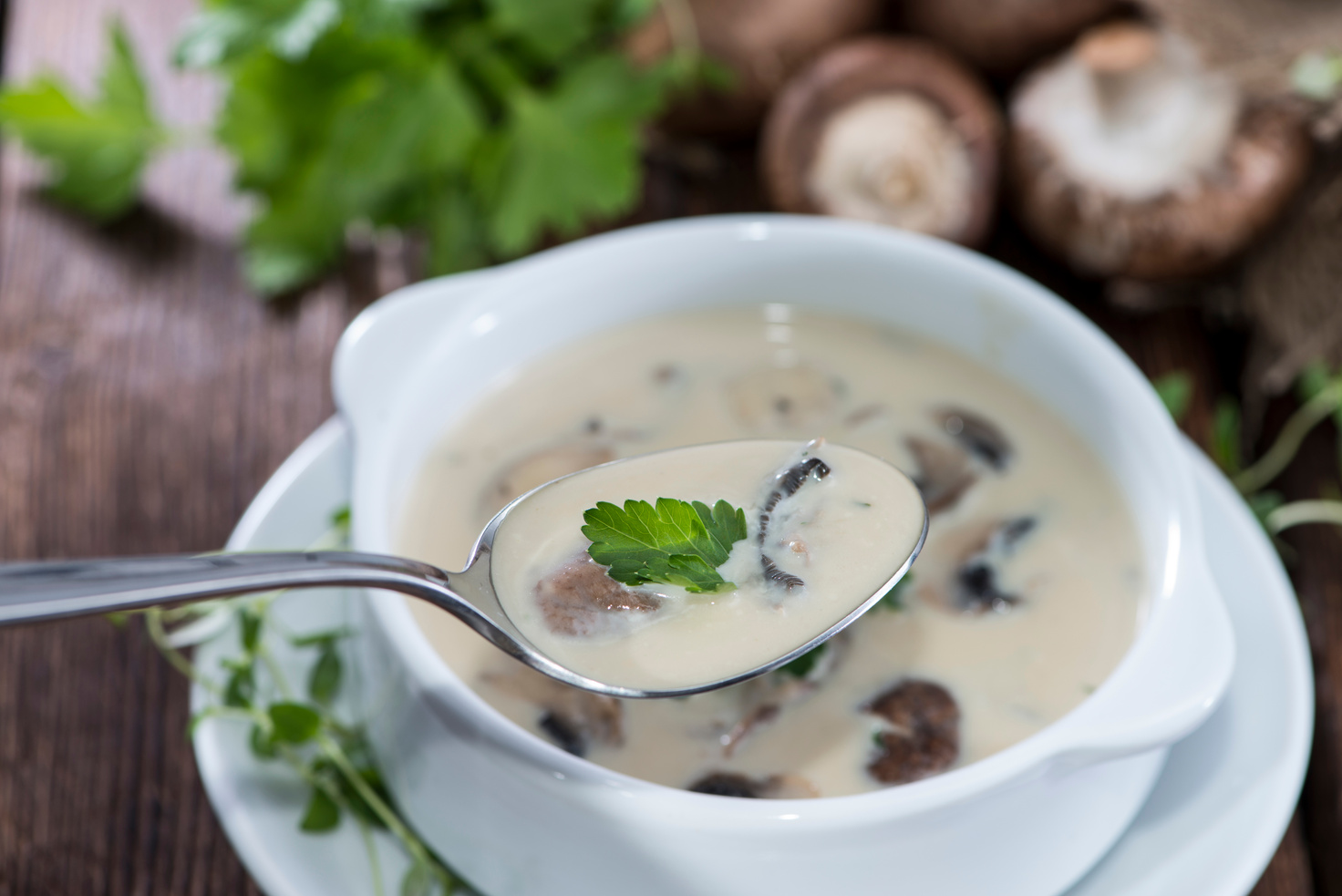 Creamy Mushroom Soup